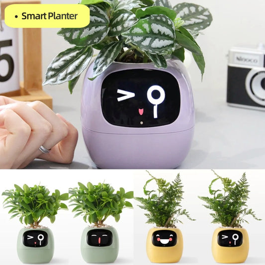Smart AI Planter with Expressions – Interactive Electronic Flower Pot with Sensors & Intelligent Water Monitoring